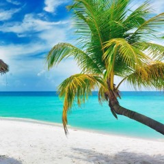 Cafe De Anatolia AMBIENT - Atmospheric Ambient Music ｜ Music For Work, Background Music 2023