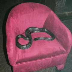 RVA Nell - Beterin Beteri