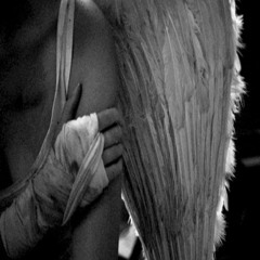 ANGEL (HIPHOP TRACK) - VERSE