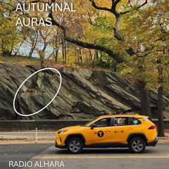 RADIO ALHARA  - راديو الحارة - AUTUMNAL AURAS (VINYL MIX)