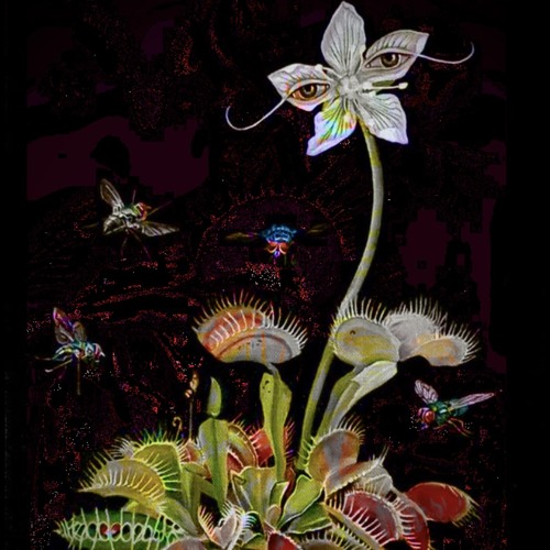 ҉p҉a҉p҉i҉l҉l҉o҉n҉ ҉