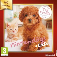 Café Petrov || Nintendogs + Cats