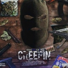 WDG BIGCASH -Creepin