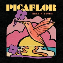 Martin Bruhn - Cumbia Picaflor
