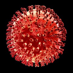 Virus