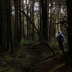 ProDJect City - Let Me Go