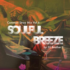 Vol.6 : Soulful Breeze (by DJ Brother J)