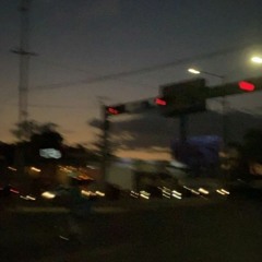 PUSSYGOLD - Дельфины