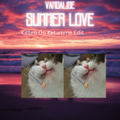 Vandalize - Summer Love - Kitten On Ketamine Edit
