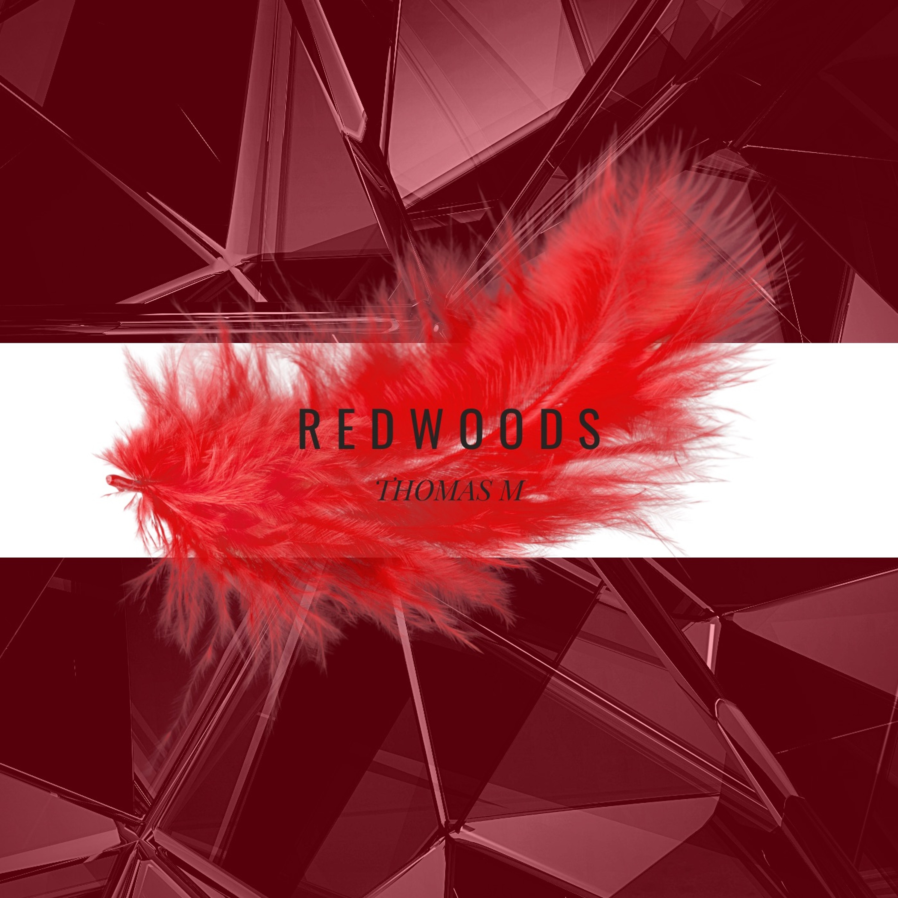 Redwoods episode artwork