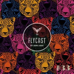 Flycast #33