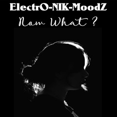 ElectrO-NIK-MoodZ - Now What