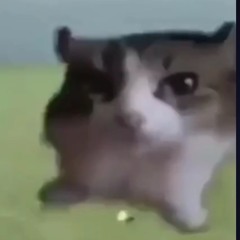 love in a bottle • hazbin hotel [COVER]