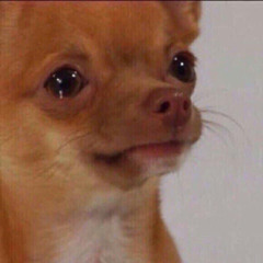 Vì ngày hôm nay em cưới rồi....