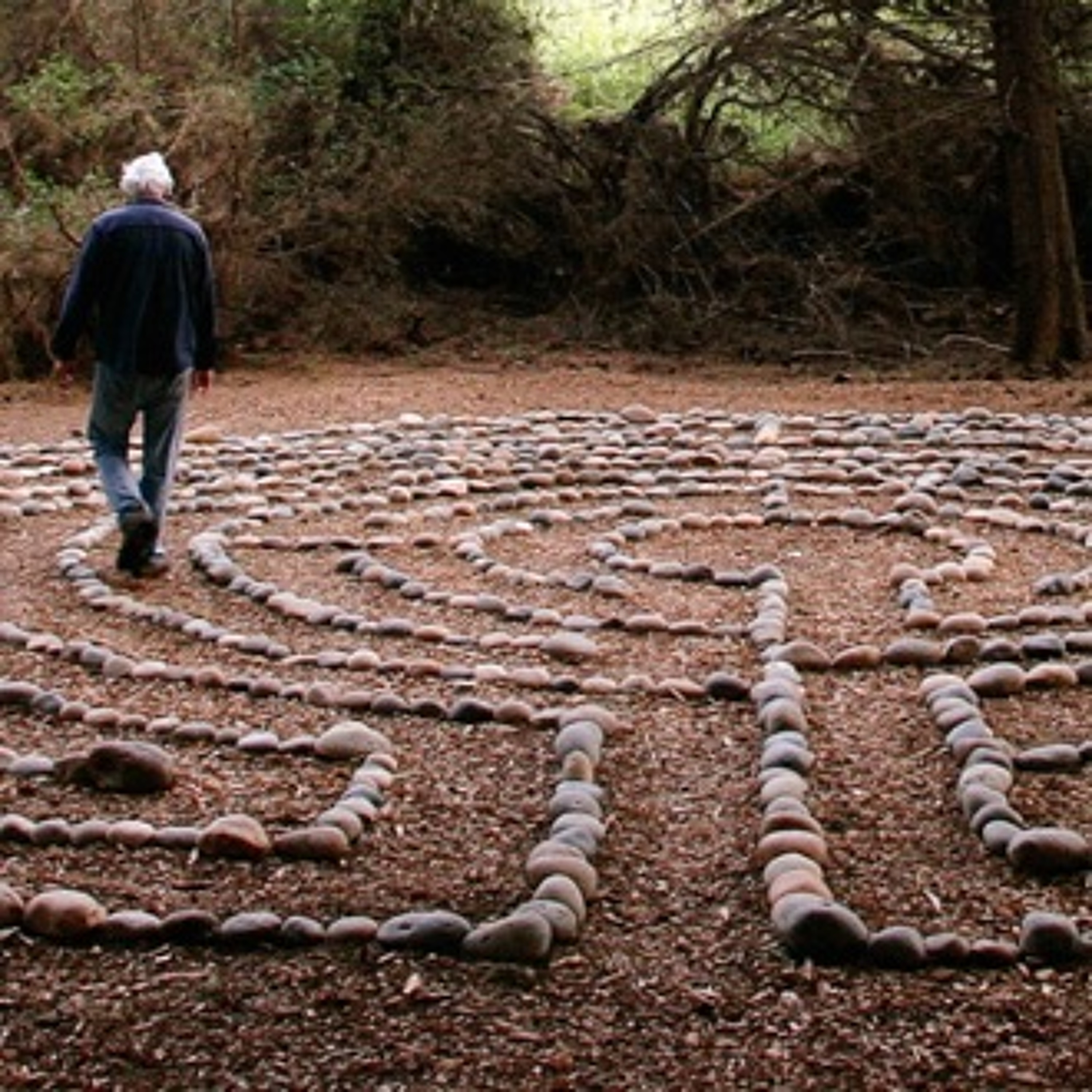 Exploring Nature, Culture and Inner Life