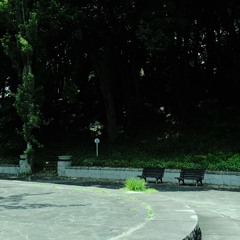 Log 20240516
