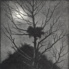 ARYOSOPHIA - Within The Black Forests