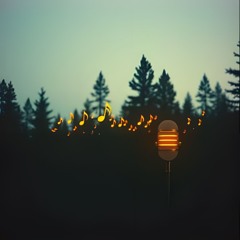 COUNTRY HIT - LE LUCCIOLE CANTANO - Edit Alnair