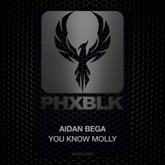 You Know Molly (Extended Mix)