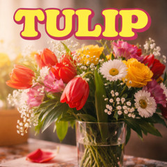 Tulip (Power Pop)