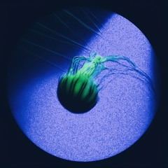 The Way of Water [Free Download]