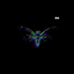 ENIGMA 3301