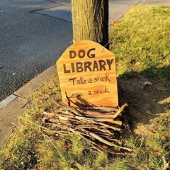 dog library