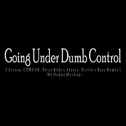 Going Under Dumb Control [ Alesso, CORSAK, Stray Kids X Alesso, Harris X Bare ] - Mr Dukez Mashup -