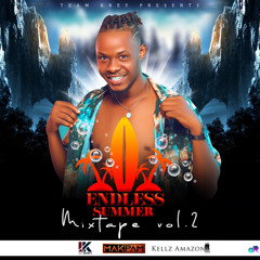Mixtape Endless Summer Vol 2. By Dj Downloadmp3