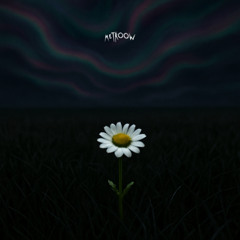 Lian B - Wild flower [FREE DL]