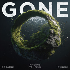 GONE (feat. Magnus Tempels)