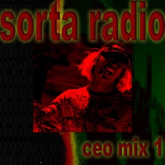 sorta radio ep. 1 - ceo mix