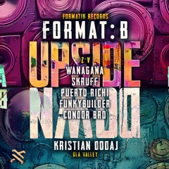 Funkybuilder (Gorilla Project/NCTRNrec) - UPSIDE DOWN 2025
