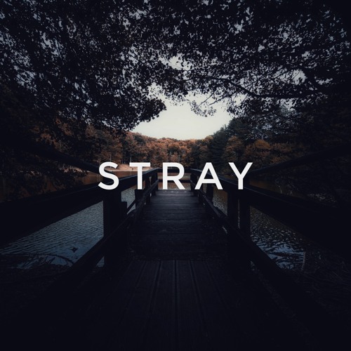 stray (feat. Kirkinson)