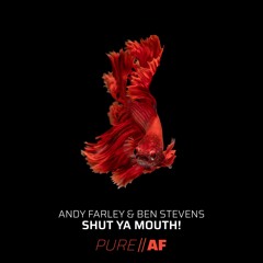 PAF1: Andy Farley & Ben Stevens - Shut Ya Mouth (end of May release)