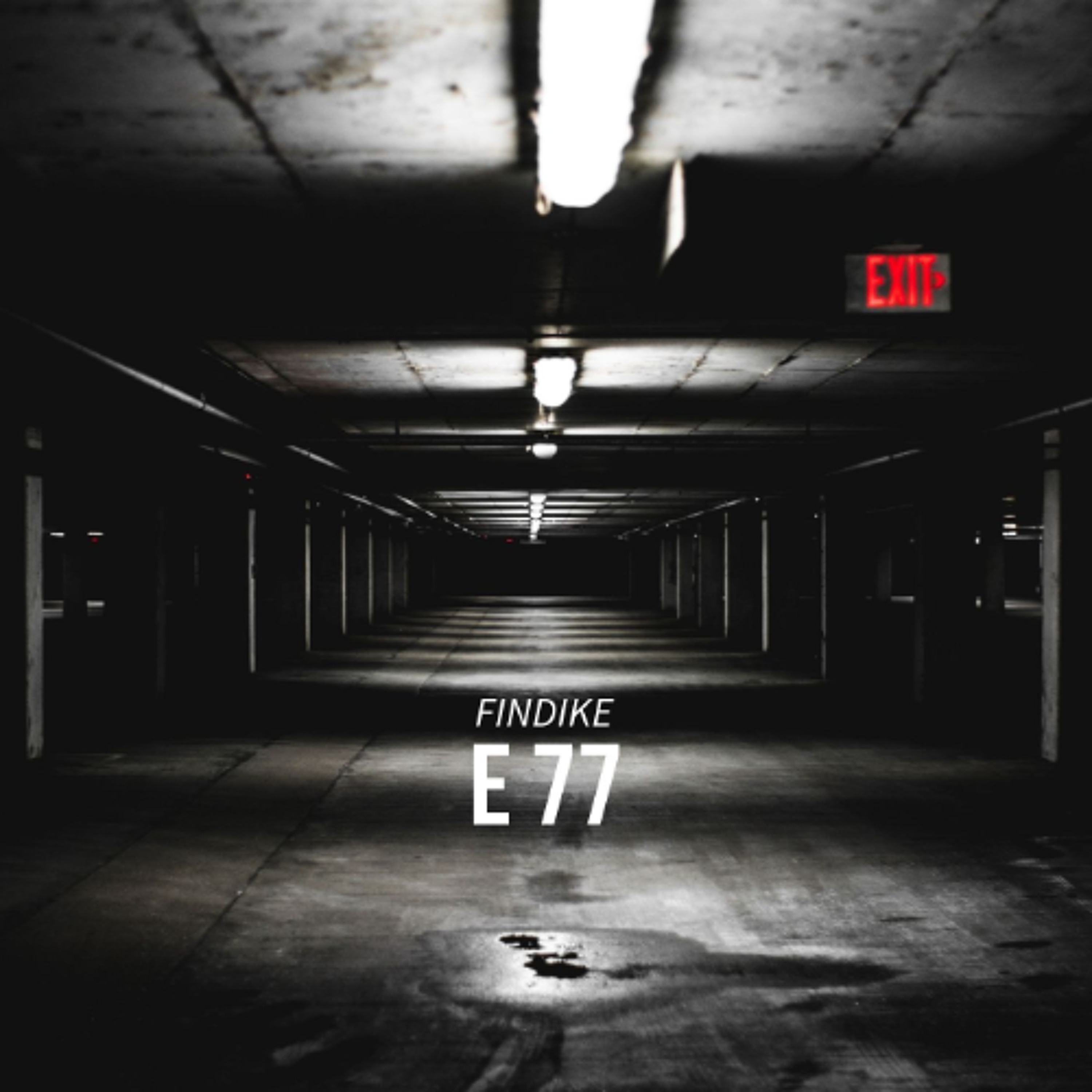 E77  Preview episode artwork