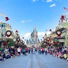 Best Things To Do In Orlando On Thanksgiving Tours Reviews
