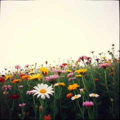 A Garden of Diversity