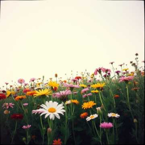 A Garden of Diversity