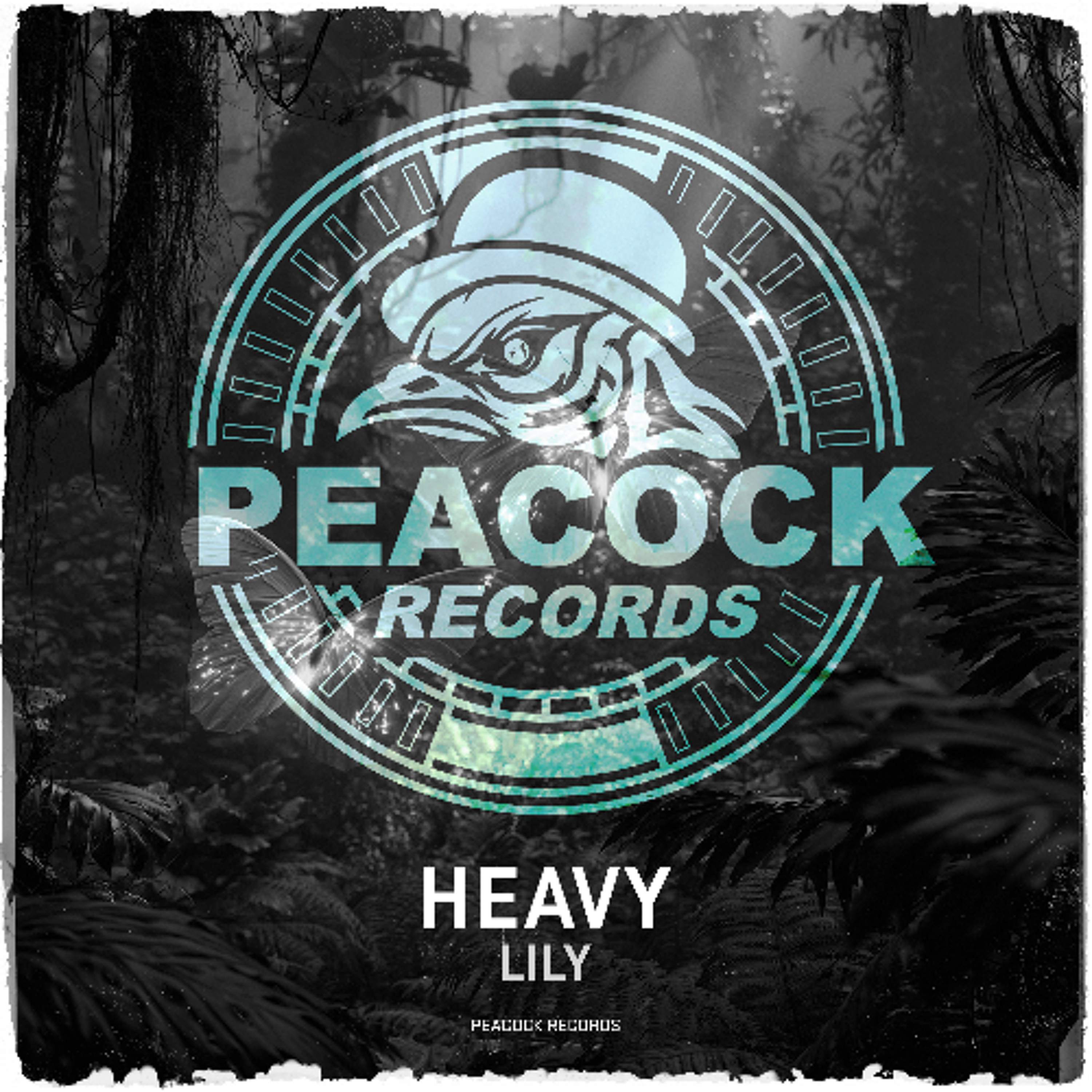 Lily - Heavy