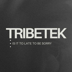 Tribetek - Is it to late to be Sorry