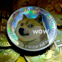 Doge Coinnn