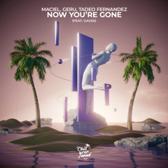 Now You're Gone (feat. Gavss)