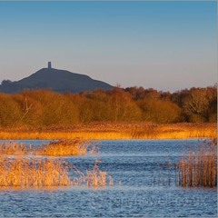 06 Where The River Meets The Sea