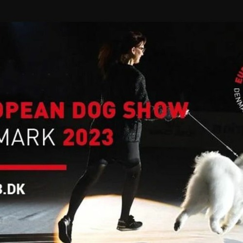 Stream FCI European Dog Show, Friday 2023 — Livestream by Charles Kells