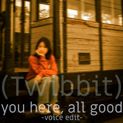 You here, all good (voice edit)