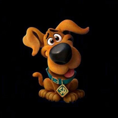 EDM Single days.🤍 11/11/21