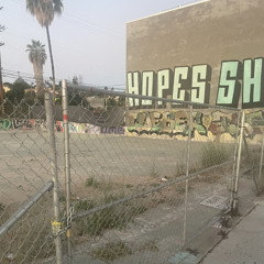 Till Dawn co produced by tane