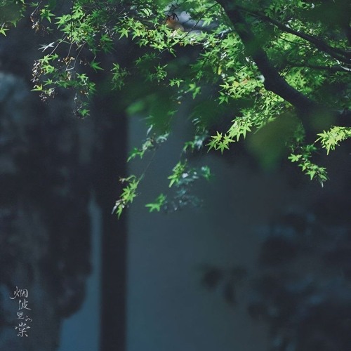 An Hà Kiều remix-(dj杜梓墨)