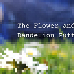The Flower and Dandelion Puff